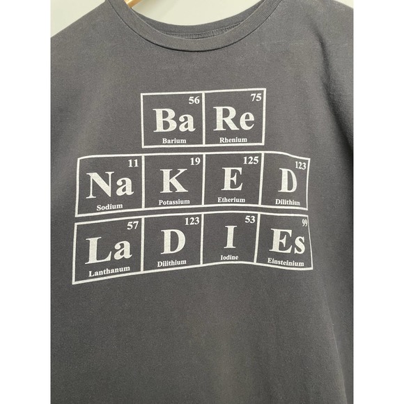 Bare Naked Ladies Graphic Short Sleeve Crew Neck Band Tee T-Shirt Gray M - Picture 2 of 5